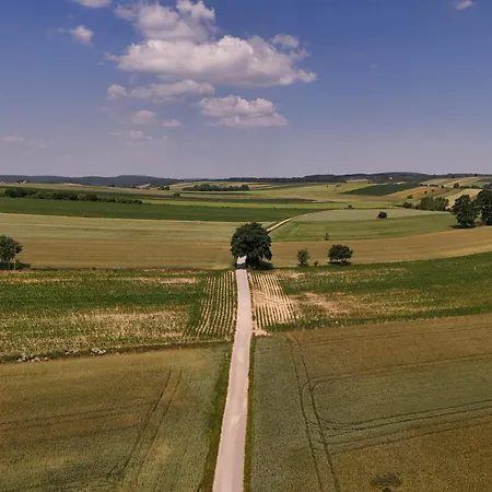 Osnowa Nyaraló Racławice