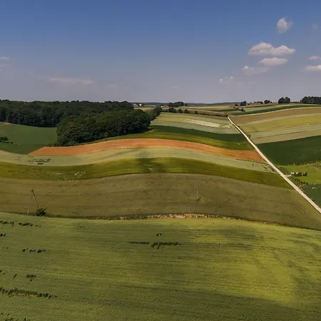 Osnowa * Racławice